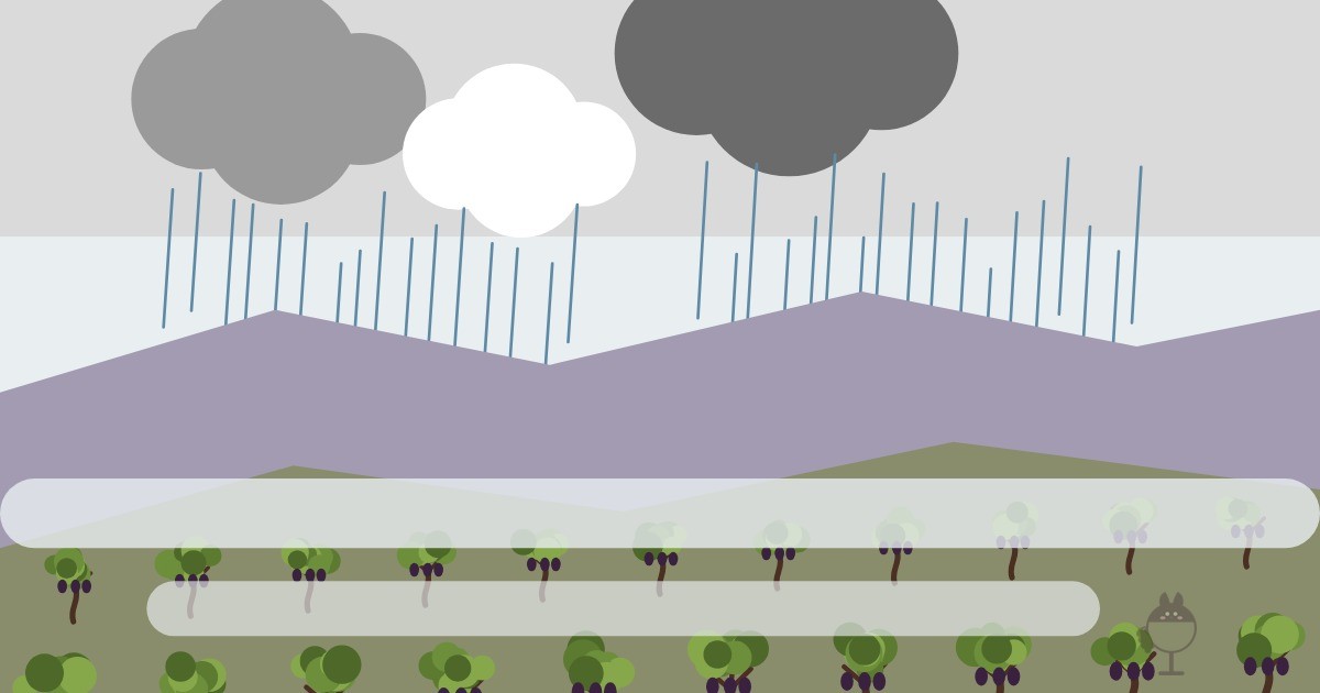 Illustration von Regenwolken und Nebel über Weinbergen am Hang