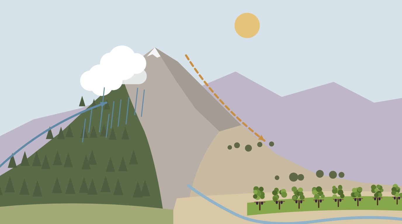 Handgezeichnete Illustration eines schneebedeckten Gebirges mit Wolken und Regen am Luvhang sowie trockenen Hügeln mit Rebzeilen im Lee