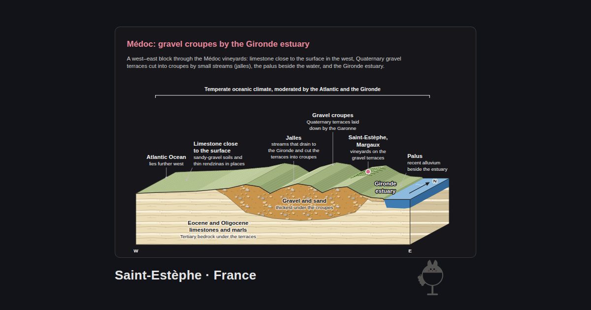 Saint-Estèphe, France. Médoc: gravel croupes by the Gironde estuary: Palus, Jalles, Saint-Estèphe, Margaux, Gravel croupes, Atlantic Ocean, Limestone close to the surface, Gironde estuary, Gravel and sand, Eocene and Oligocene limestones and marls, Temperate oceanic climate, moderated by the Atlantic and the Gironde