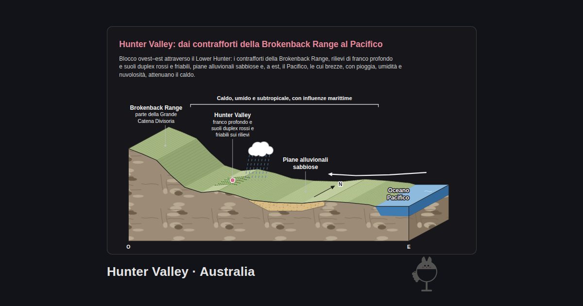 Hunter Valley, Australia. Hunter Valley: dai contrafforti della Brokenback Range al Pacifico: Brokenback Range, Hunter Valley, Piane alluvionali sabbiose, Oceano Pacifico, Caldo, umido e subtropicale, con influenze marittime
