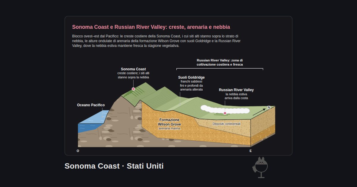 Sonoma Coast, Stati Uniti. Sonoma Coast e Russian River Valley: creste, arenaria e nebbia: Oceano Pacifico, Sonoma Coast, Suoli Goldridge, Russian River Valley, Formazione Wilson Grove, Depositi continentali, Russian River Valley: zona di coltivazione costiera e fresca