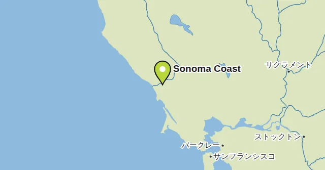 Sonoma Coastとその周辺の地図。ピンがSonoma Coastの位置を示す。ピンの色：白ワイン