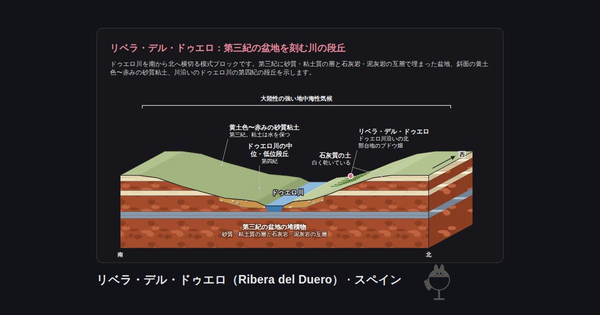 スペイン・リベラ・デル・ドゥエロ(Ribera del Duero)の図。リベラ・デル・ドゥエロ:第三紀の盆地を刻む川の段丘:ドゥエロ川、リベラ・デル・ドゥエロ、石灰質の土、ドゥエロ川の中位・低位段丘、黄土色〜赤みの砂質粘土、第三紀の盆地の堆積物、大陸性の強い地中海性気候