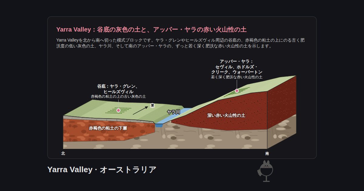 オーストラリア・Yarra Valleyの図。Yarra Valley:谷底の灰色の土と、アッパー・ヤラの赤い火山性の土:谷底:ヤラ・グレン、ヒールズヴィル、ヤラ川、アッパー・ヤラ:セヴィル、ホドルズ・クリーク、ウォーバートン、深い赤い火山性の土、赤褐色の粘土の下層