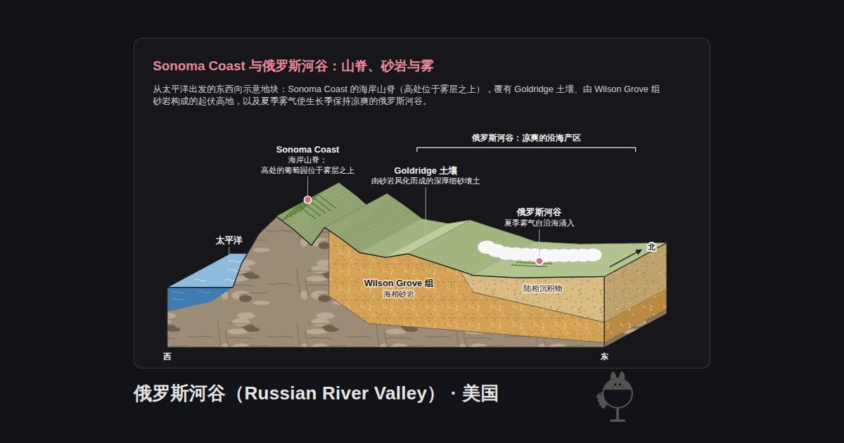 美国俄罗斯河谷(Russian River Valley)的图示。Sonoma Coast 与俄罗斯河谷:山脊、砂岩与雾:太平洋、Sonoma Coast、Goldridge 土壤、俄罗斯河谷、Wilson Grove 组、陆相沉积物、俄罗斯河谷:凉爽的沿海产区