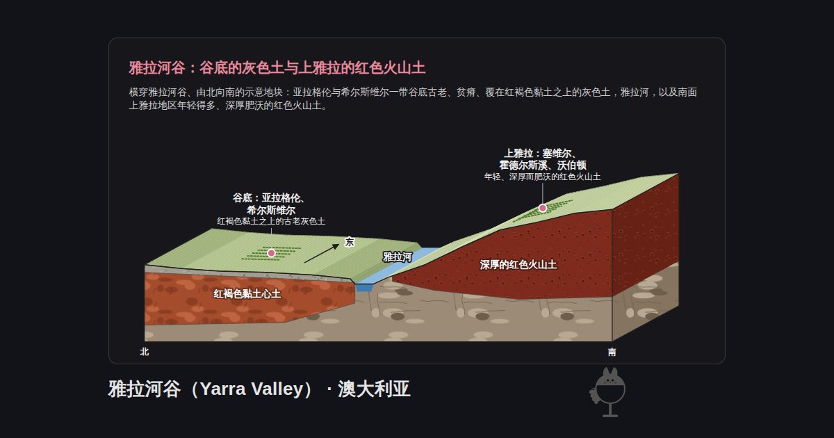 澳大利亚雅拉河谷（Yarra Valley）的图示。雅拉河谷：谷底的灰色土与上雅拉的红色火山土：谷底：亚拉格伦、希尔斯维尔、雅拉河、上雅拉：塞维尔、霍德尔斯溪、沃伯顿、深厚的红色火山土、红褐色黏土心土
